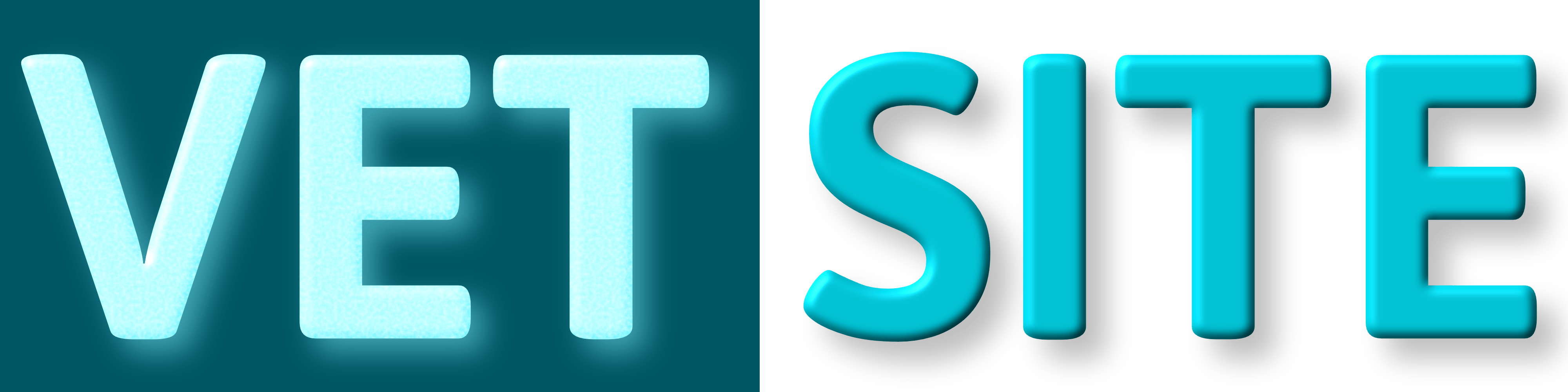 Logo VetSite VetSite Logo - Internetauftritt mit Website, Socialmedia & lokaler SEO für Tierarztpraxen